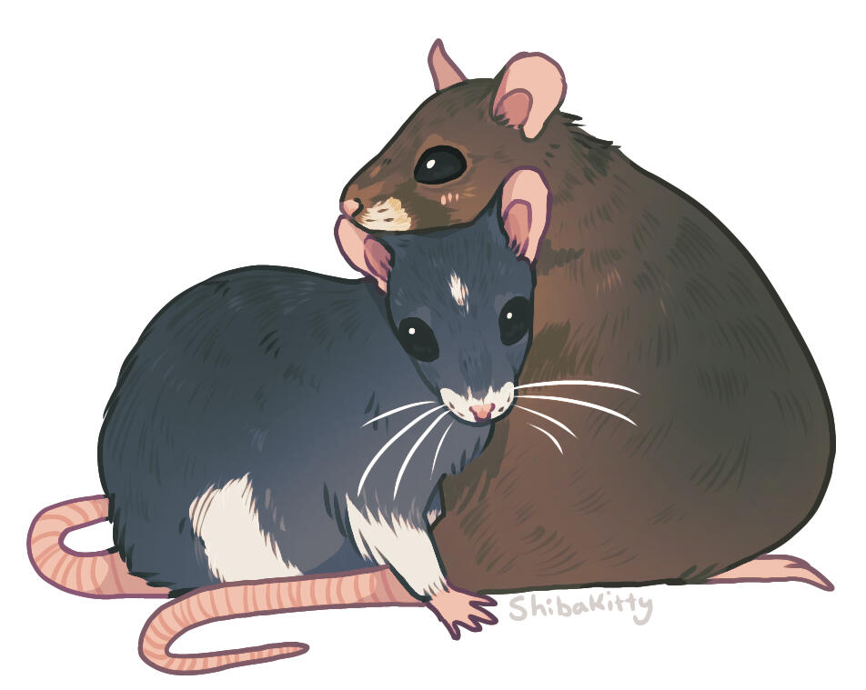 Double Rats (2023)