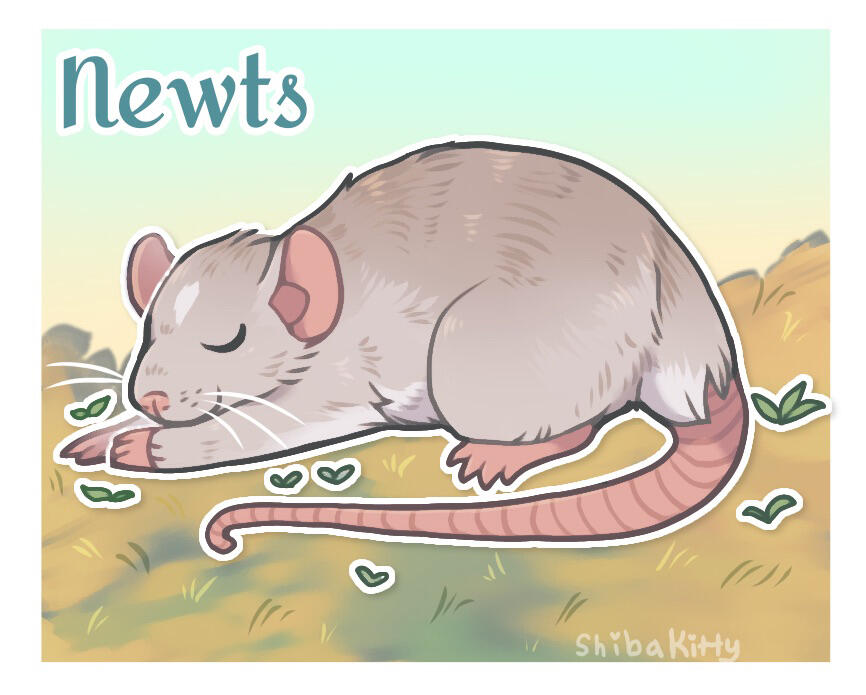 Newts (2023)