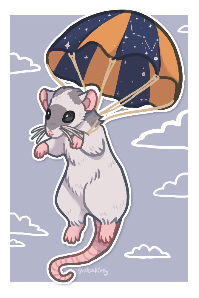 Rat Parachute (2023)