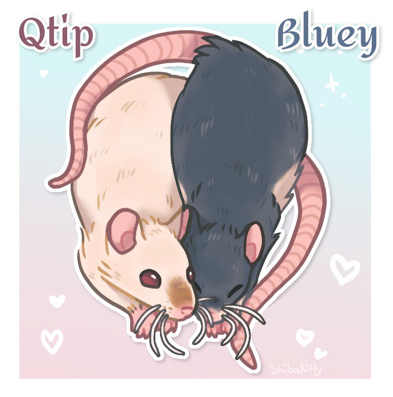 Q-tip & Bluey (2023)