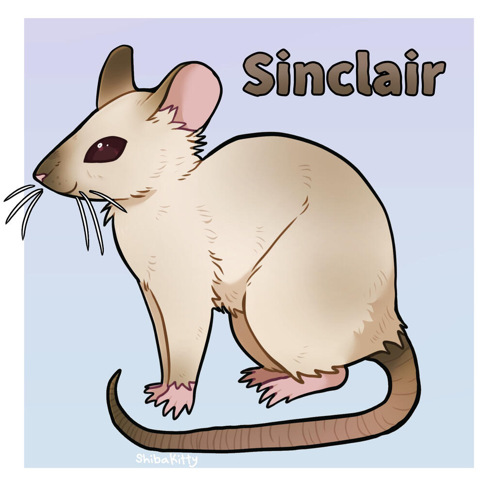 Sinclair (2024)